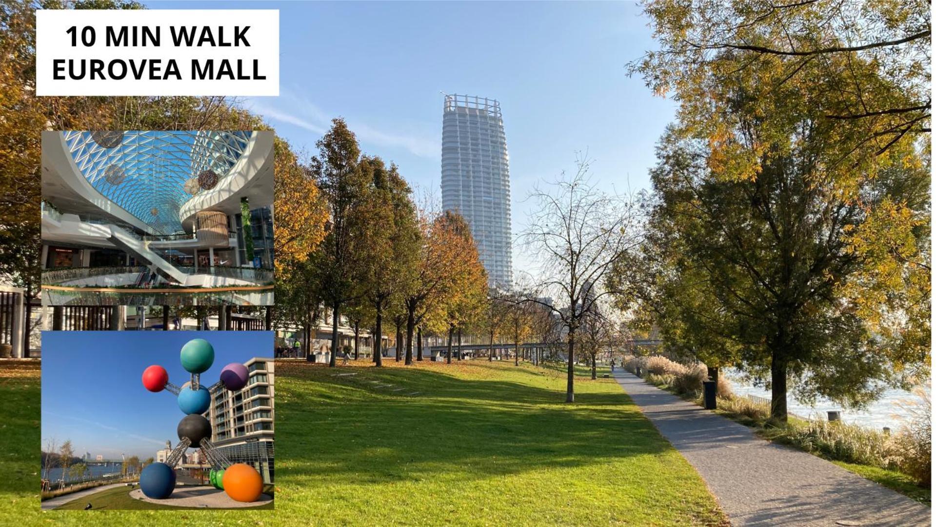 Downtown 3 Bdr Charm - Walk To Attractions 公寓 *